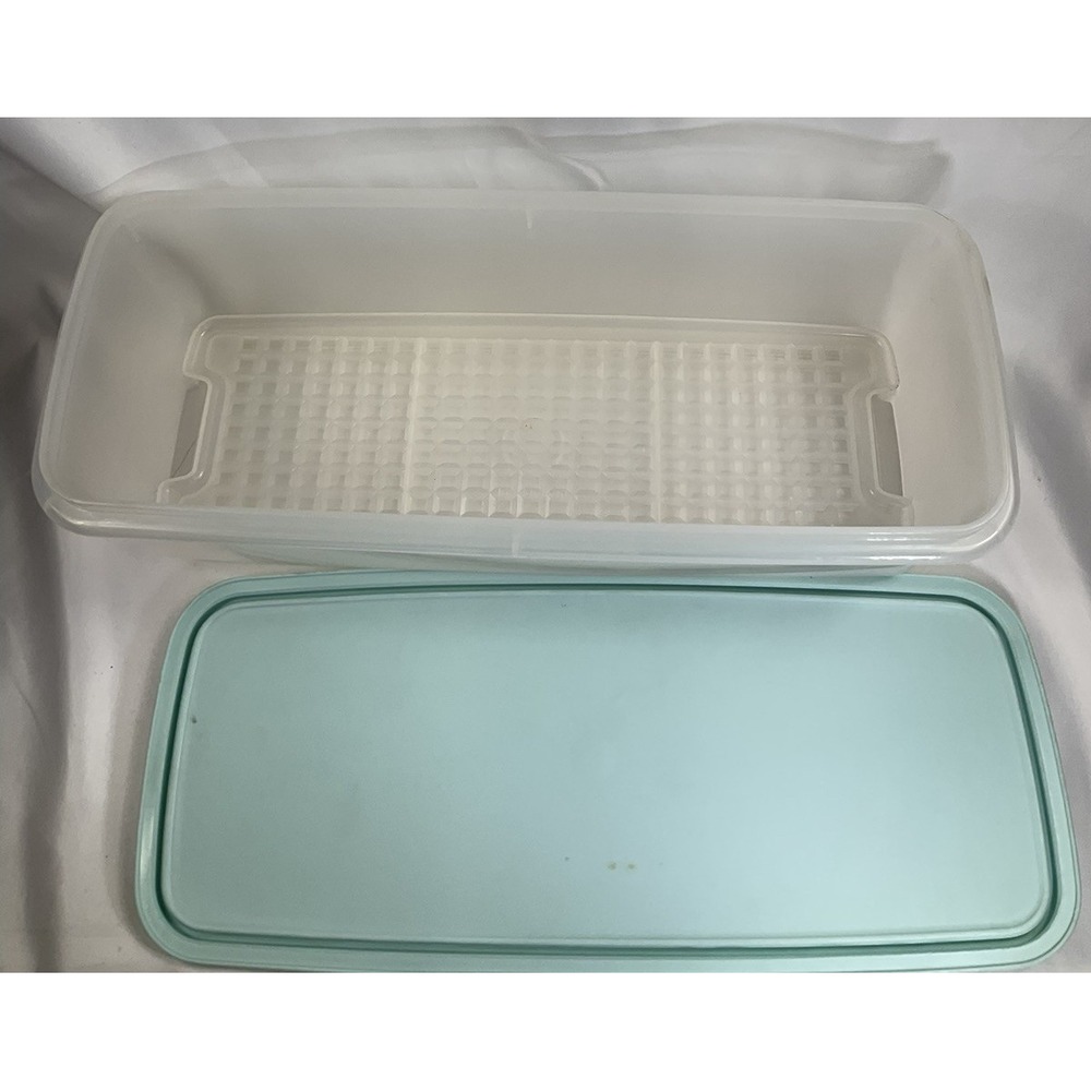 Tupperware Vegetable Crisper Celery Keeper Mint Blue Clear Trays Lid #782 Retro